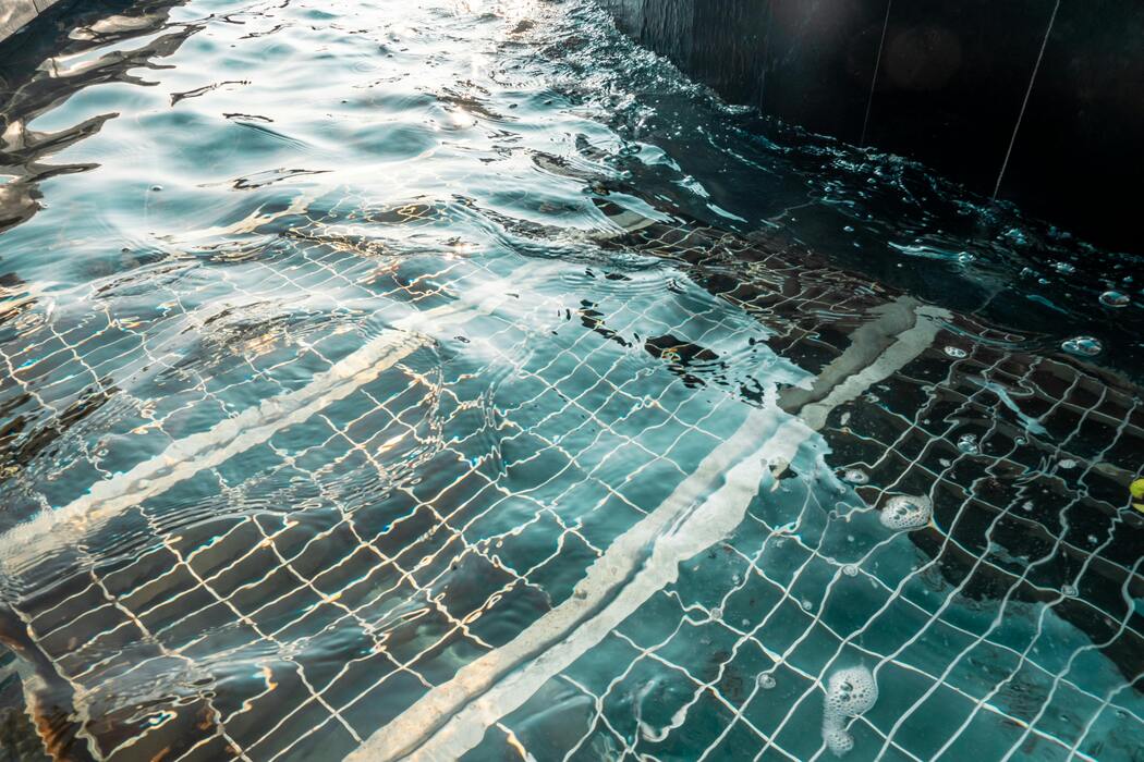 A pool that was cleaned after a summer storm.